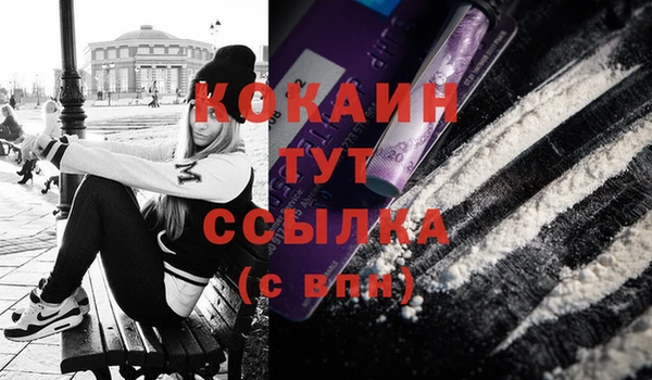 стаф Абаза