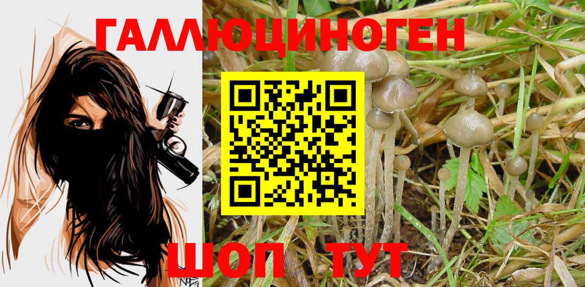 Галлюциногенные грибы GOLDEN TEACHER Архангельск
