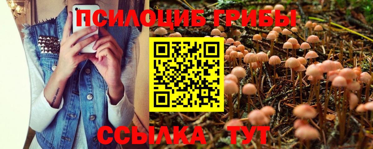Архангельск  Галлюциногенные грибы Magic Shrooms  Вход с VPN 